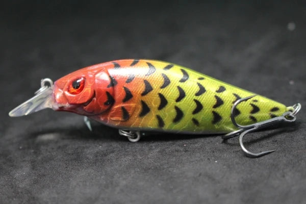wLure Crankbait Fishing Lure 13g 9cm Medium Size 1-2 Meter Depth 3D Hard Vivid Eyes Tight Wobbler and High Frequent Action C735