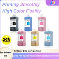 JMDD 1000ml Eco-Solvent Ink Compatible with Roland Mimaki Mutoh Epson TX800 4720 I3200 5113 - Printer Ink for DX4 DX5 DX6 DX7 XP