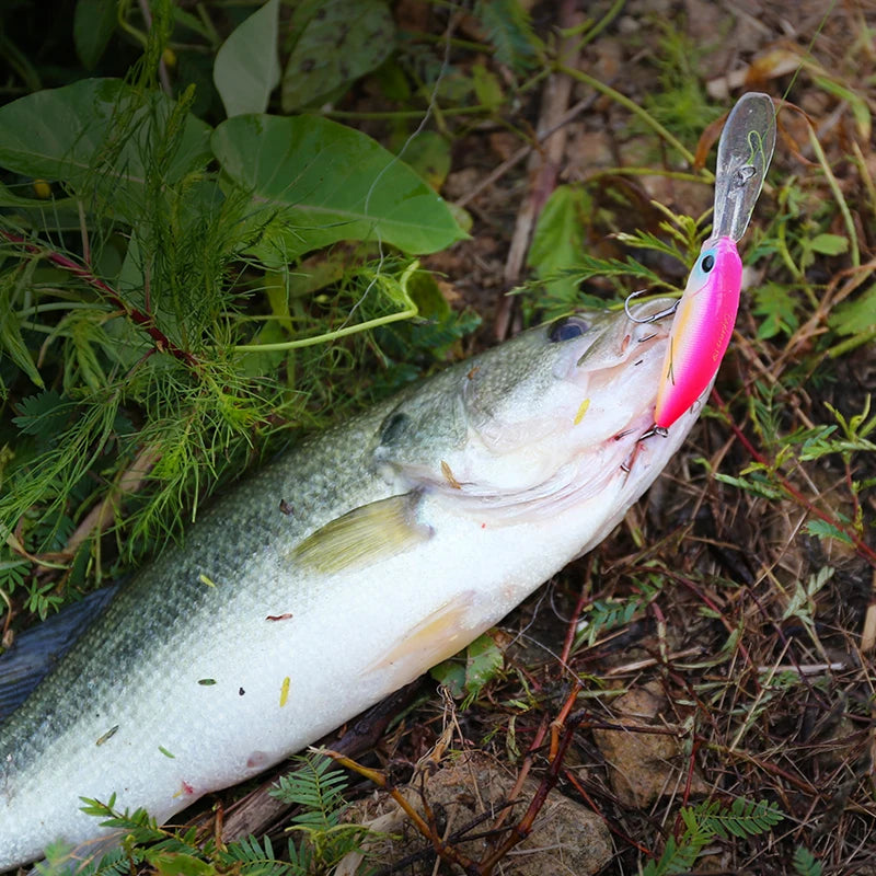 TSURINOYA 57SP Deep Dive Suspending Minnow SHAD Fishing | SAMAG