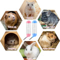 125ml Hamster Drinker Water Bottle No Drip Small Animal Water Dispenser Hanging Hamster Drinker For Guinea Pigs Hamsters Bunnies