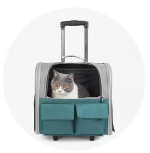 Carriers & Strollers