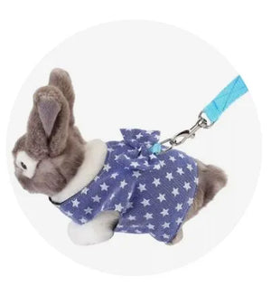 Collars, Harnesses & Leashes