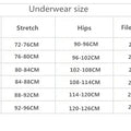2021 New Embroidery Women Bra Sets Lace Push Up Underwear Brief 34/75 36/80 38/85 40/90 42/95 44/100 BCDE Cup Plus Size Lingerie