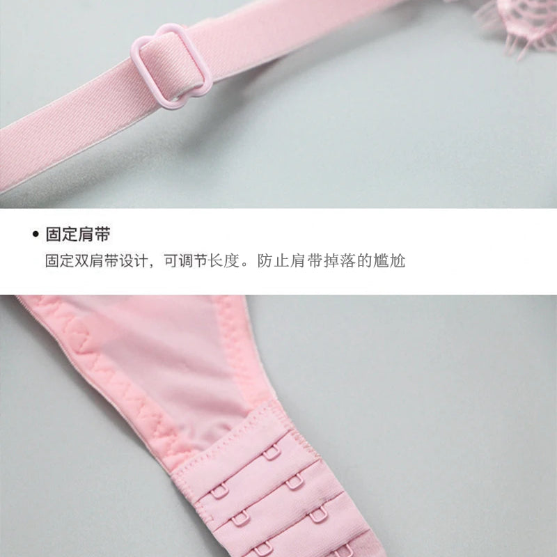 2021 New Embroidery Women Bra Sets Lace Push Up Underwear Brief 34/75 36/80 38/85 40/90 42/95 44/100 BCDE Cup Plus Size Lingerie
