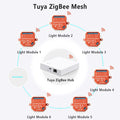 LoraTap Tuya ZigBee 3.0 2 Gang Light Switch Relay Module Google Home Alexa Echo Remote Control Work with Zigbee2MQTT DIY
