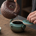 Ceramic Gongfu Travel Tea Set, Gorgeous Chinese Teapot Set with 2 Tea Cups, Portable Carrying Case