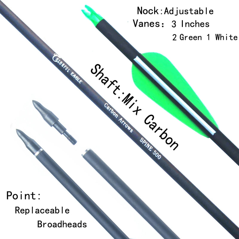 28"/30"/31" Carbon Arrows Spine 500 Archery Hunting | SAMAG