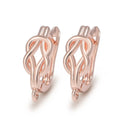 1 Pair Gold Plated  Earring Hooks Components Accessories Supplies For Woman DIY  Handmade Making Findings Jewelry  Wholesale