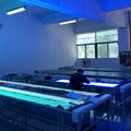 WS2812B RGB IC LED Strip Light 1m 2m 4m 5m Addressable Individually WS2812 30 60 100 144 LEDs Magic Black White PCB DC5V IP30