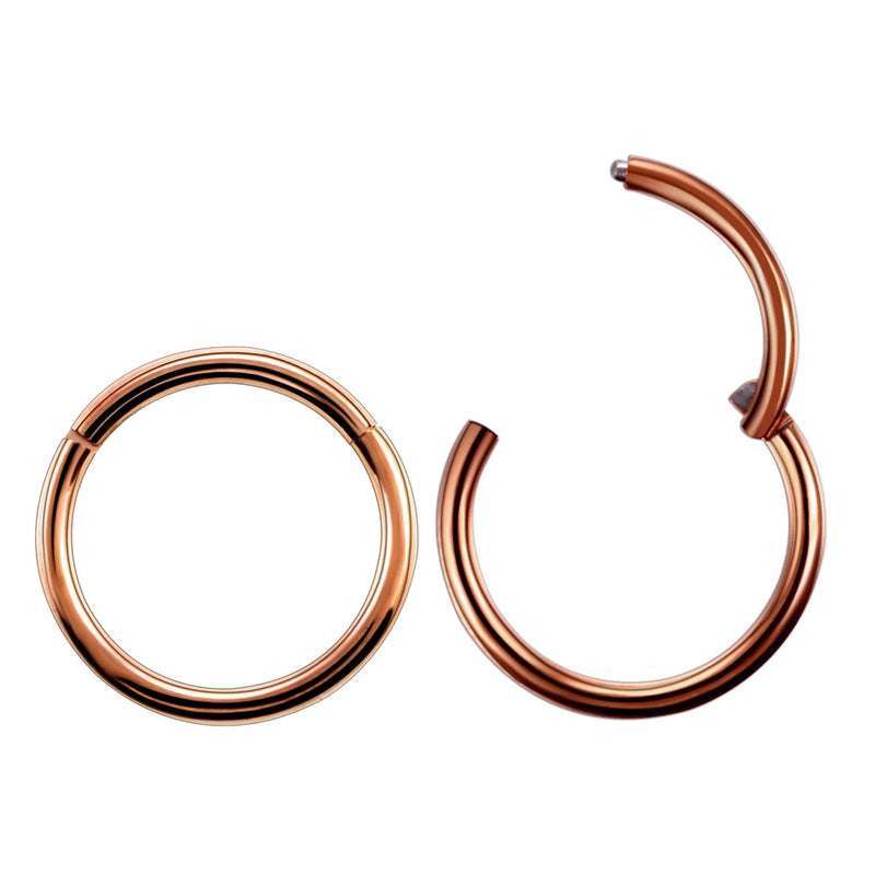 1PC G23 Titanium Septum Clicker Segment Hinged Rings Labret Lip Nose Hoop Earrings Ear Piercer 10-20G TITANIUM PIERC JEWELRI