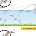 6pcs 12g 18g fishing shrimp prawn lure baits, river prawn fishing craws saltwater bream lures with luminous eyes