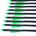 28"/30"/31" Carbon Arrows Spine 500 Archery Hunting | SAMAG