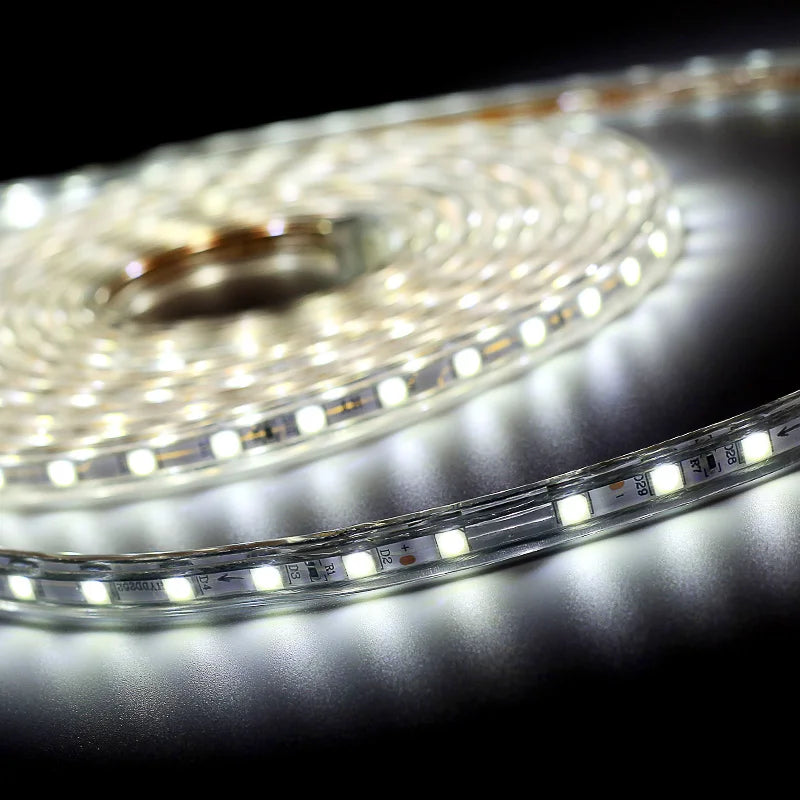 SMD 5050 AC220V LED Strip Flexible Light 60leds/m Waterproof Led Tape LED Light With Power Plug 1M/2M/3M/5M/6M/8M/9M/10M/15M/20M
