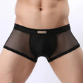 BRAVE PERSON Underwear Men's Boxers Breathable Mesh Hollow Boxer Shorts Sexy Underwear Panties Transparent Men Boxers B1150