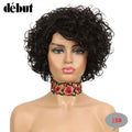 Debut Ombre Short Curly Human Hair Wigs Remy Short Bob Wigs 100% Human Hair Cheap Pixie Cut Human Hair Full Wigs For Black Women