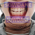 1 piece Dental Implant Lip & Cheek Retractor Orthodontic Surgical Mouth Opener Instrument Autoclavable Stainless Steel
