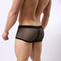 BRAVE PERSON Underwear Men's Boxers Breathable Mesh Hollow Boxer Shorts Sexy Underwear Panties Transparent Men Boxers B1150