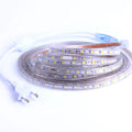 SMD 5050 AC220V LED Strip Flexible Light 60leds/m Waterproof Led Tape LED Light With Power Plug 1M/2M/3M/5M/6M/8M/9M/10M/15M/20M