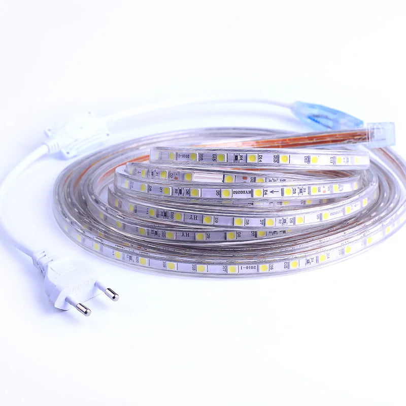 SMD 5050 AC220V LED Strip Flexible Light 60leds/m Waterproof Led Tape LED Light With Power Plug 1M/2M/3M/5M/6M/8M/9M/10M/15M/20M