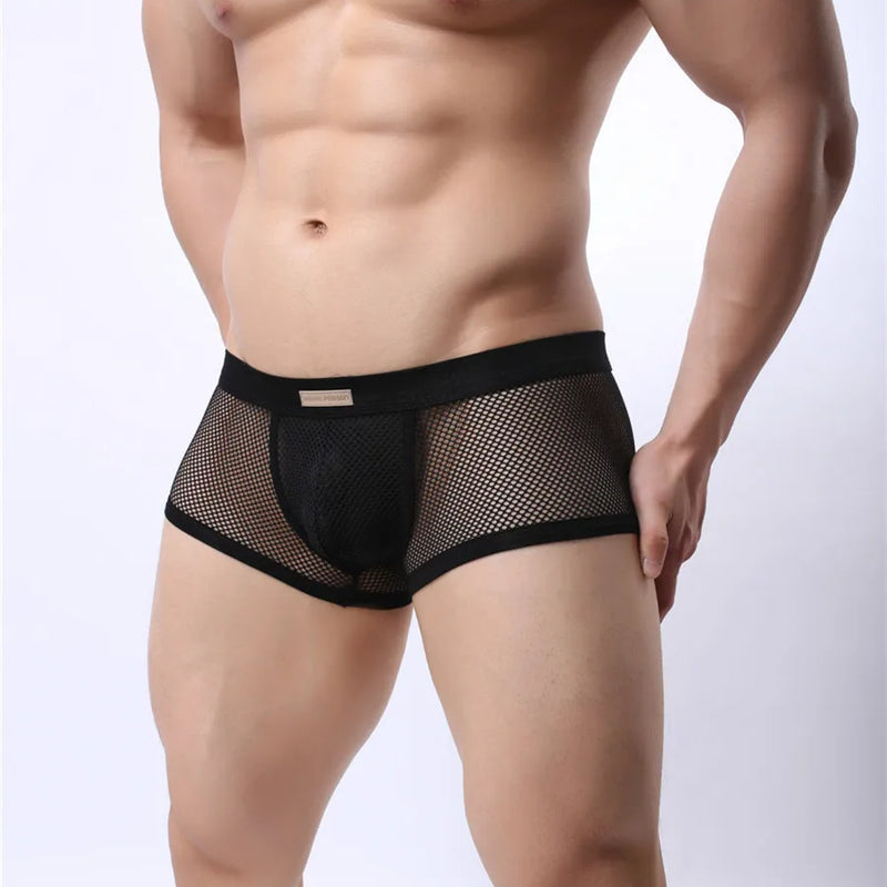 BRAVE PERSON Underwear Men's Boxers Breathable Mesh Hollow Boxer Shorts Sexy Underwear Panties Transparent Men Boxers B1150