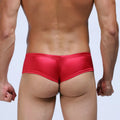 Hot Mens Sexy Underwear Boxers U Convex Pouch Boxer Underpants Super Soft Small Trunks Gay Cuecas Smooth Shorts Men Cuecas Boxer