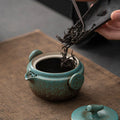 Ceramic Gongfu Travel Tea Set, Gorgeous Chinese Teapot Set with 2 Tea Cups, Portable Carrying Case