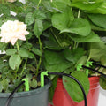 KESLA Garden Automatic Watering Irrigation Kit Elbow Emitter Drip System 4/7MM to 3/5MM Hose for Bonsai Potted Flower Greenhouse