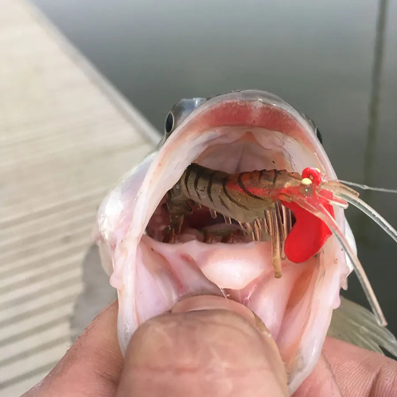 6pcs 12g 18g fishing shrimp prawn lure baits, river prawn fishing craws saltwater bream lures with luminous eyes