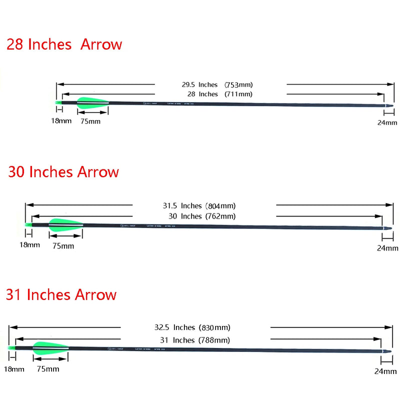 28"/30"/31" Carbon Arrows Spine 500 Archery Hunting | SAMAG