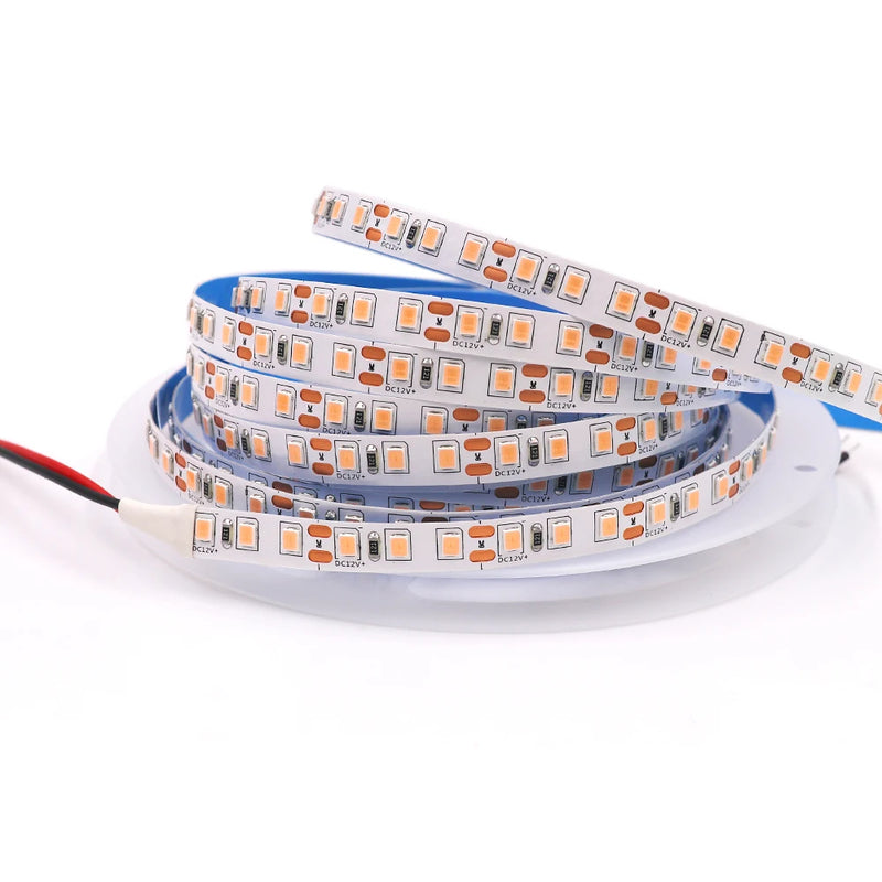 LED Strip Light 12V 24V 2835 5050 5054 5M RGB White Pink Red Blue Flexible LED Tape Ribblon 120LED 60LED 480LED Waterproof Decor