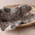 Rabbit Fur For Babies Baby Girl Birth Newborn Photography Props Blankets Accessories New Born Photo Shoot Background Blanket