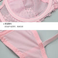 2021 New Embroidery Women Bra Sets Lace Push Up Underwear Brief 34/75 36/80 38/85 40/90 42/95 44/100 BCDE Cup Plus Size Lingerie