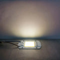 10W 20W 30W 50W AC220V  LED COB chip Engine Smart IC Chips For DIY LED Floodlight Spotlight Lamp