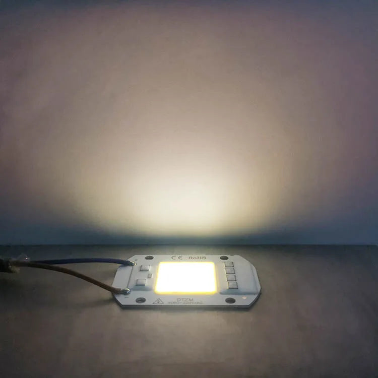 10W 20W 30W 50W AC220V  LED COB chip Engine Smart IC Chips For DIY LED Floodlight Spotlight Lamp