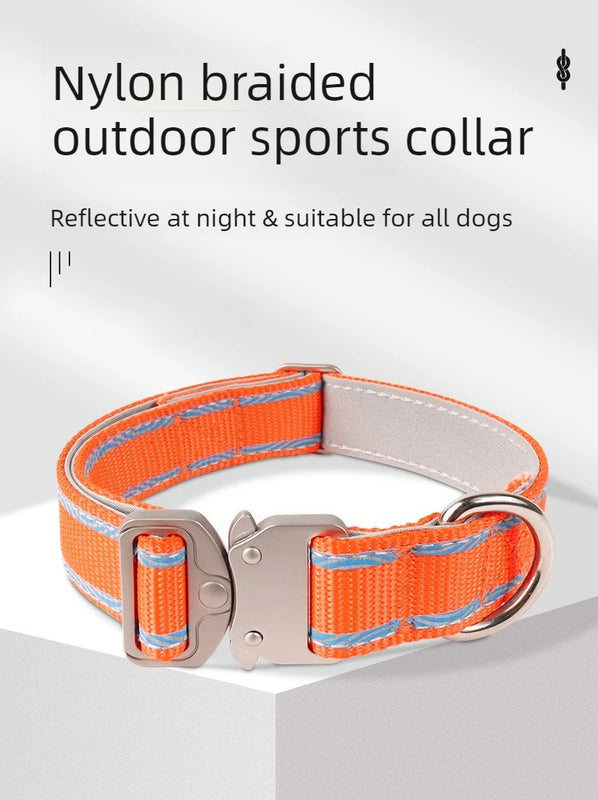 Adjustable Anti‑Escape Pet Collar with Buckle for Outdoor Walking Dog Leash Dog Rope for Dogs and Cats Neck Ring