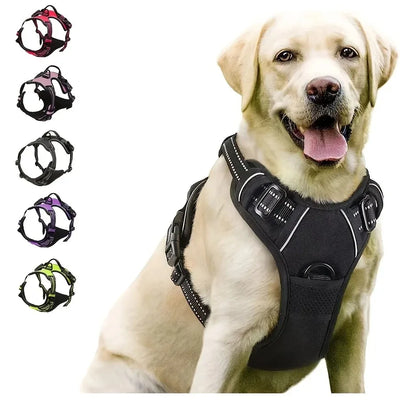 Dog Collars Harness Big Vests Leash Pet Shop Everything | SAMAG