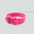 New Product Collar Cat Teaser Self-Entertainment Cat Toy Neck Collar Feather Bell Cat Toy Pet Supplies