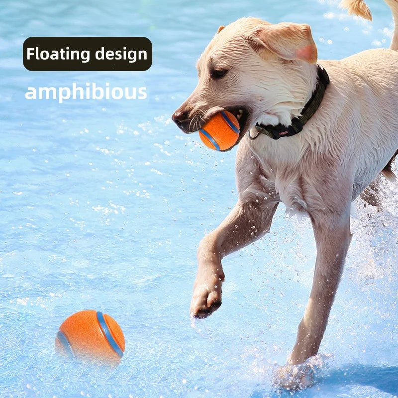Bite Resistant Solid Elastic Dog Toy Ball Jumping Interactive Fetch Ball Durable Puppy Chew Pet Accessories For All Size Dogs