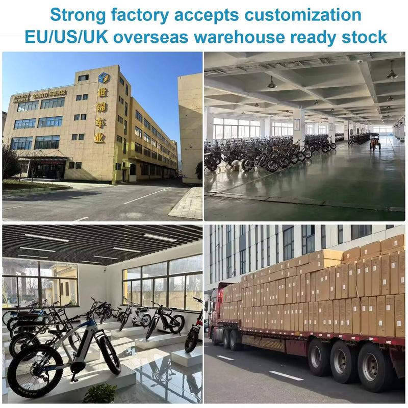 48V 1000W Fat Tire Electric Bicycle Aluminum Alloy Full Suspension Off-Road E-Bike for Adults 20 Inch Lithium Battery