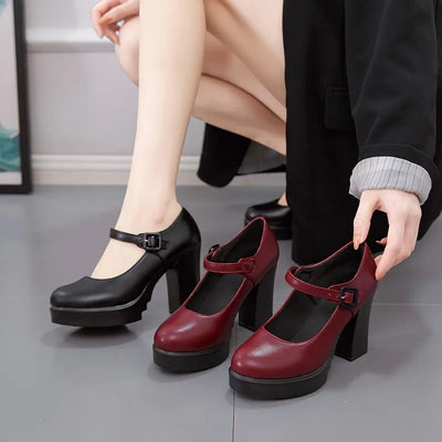 Women Mary Jane Shoes Trendy Comfortable Thick Heel | SAMAG