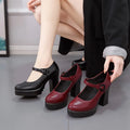 Women Mary Jane Shoes Trendy Comfortable Women's Shoes 2024 New Thick Heel Platform Women's High Heels