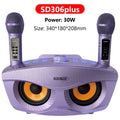 SDRD Sd306plus 30W Home Theater Sound PA System Portable Bluetooth Speakers With Two Wireless Microphones Set TV Karaoke Player