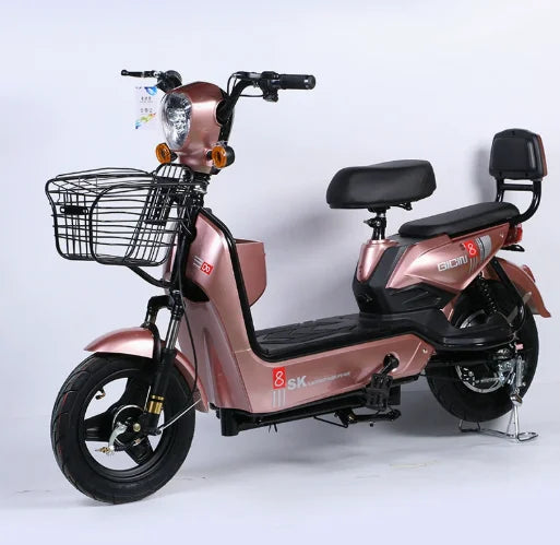 Electric bicycle two-wheel electric bike new national standard adult electric scooter wholesale manufacturer