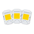 10W 20W 30W 50W AC220V  LED COB chip Engine Smart IC Chips For DIY LED Floodlight Spotlight Lamp
