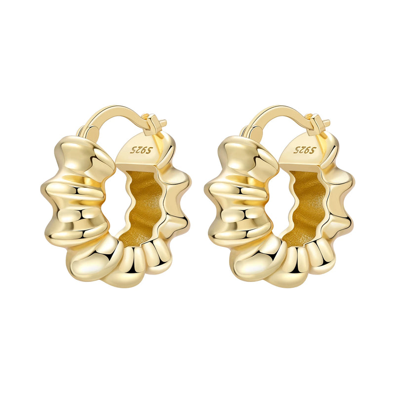 Orstarry S925 Sterling Silver 18k Gold Modern Square Earrings Hoop Earrings For Women Jewelry Original Trendy Anniversary Gifts