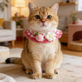 Stylish Adjustable Flower Pet Scarf Bib Sweet Decorative Knitted Cat Scarf Cozy Handmade Cat Woven Bib Spring Collection