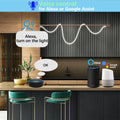 Tuya WiFi RF Switch DC 12V 24V 2Channels Dry Contact Relay Wireless Remote Control Transmitter 50m work with Google Assist,Alexa