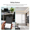 Zemismart 1 Gang Zigbee Relay Switch with Power Statistics Function Smart Inline Module Work with Tuya Smart Life App