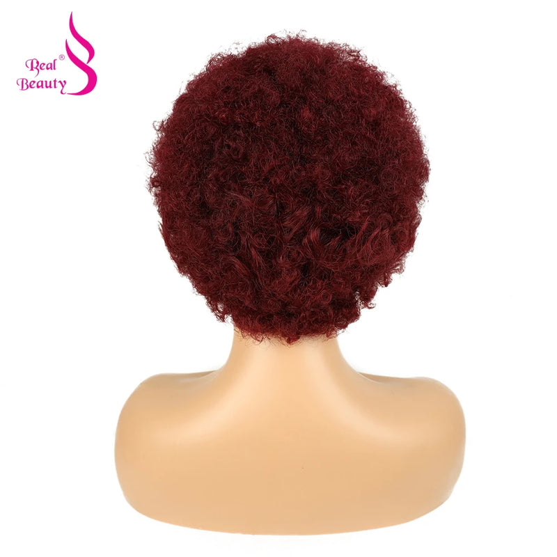 Braided Wigs for Black Women Human Hair Afro Puff Lace Frontal Hair Wigs Afro Kinky Curly Human Hair 13x4 Lace Front Pre Braided