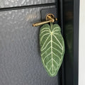 Towels Ultra-Absorbent Quick-Dry Bathroom & Kitchen Towel - Tropical Leaf Design Hand/Thumb Towel with Hanging Loop